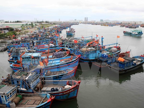 Công tác chuẩn bị ứng phó với bão số 6 phải ở mức cao nhất
