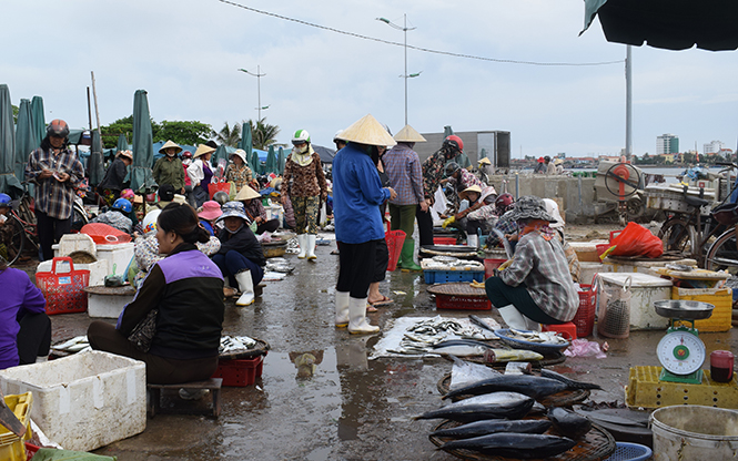 Hoạt động mua bán, sử dụng hải sản: Đã có sự chuyển biến