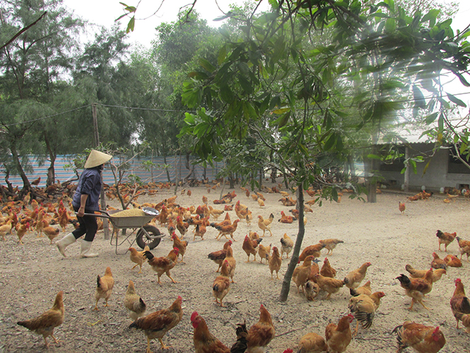 Hoa thơm giữa đời thường