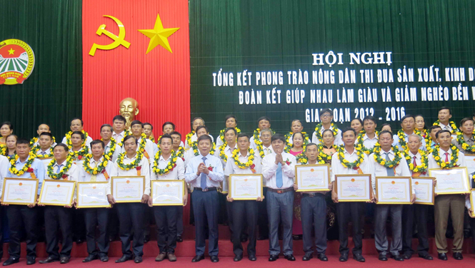 Toàn tỉnh có gần 70.000 hộ nông dân sản xuất, kinh doanh giỏi