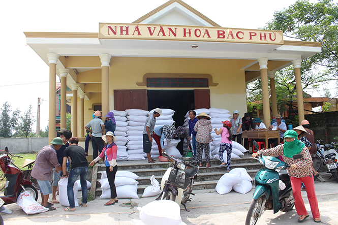 Thống kê thiệt hại do sự cố ô nhiễm môi trường biển: Bảo đảm khách quan và đúng đối tượng