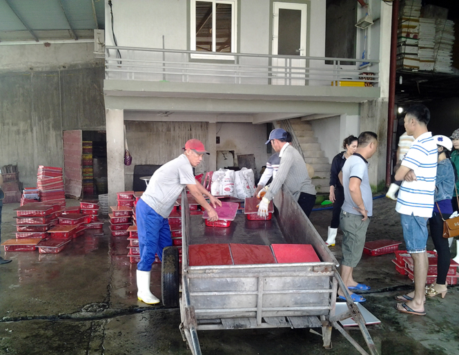 30 cơ sở thu mua có hải sản tồn kho với tổng khối lượng 3.989.471kg