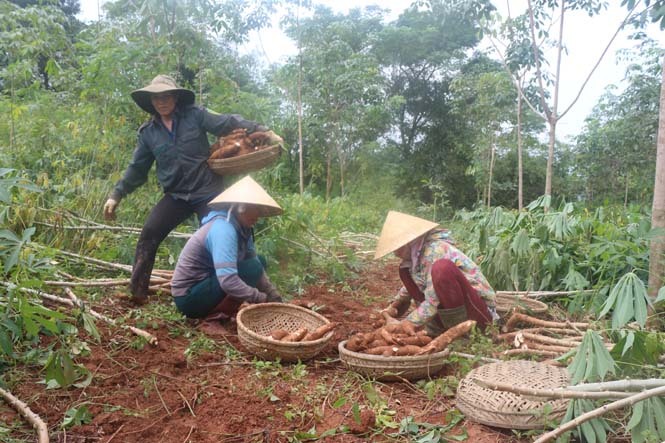 Bố Trạch: Khẩn trương khắc phục hậu quả do mưa lũ
