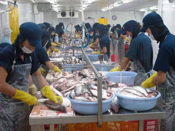 Thủ tướng ban hành Chương trình điều tra thống kê quốc gia