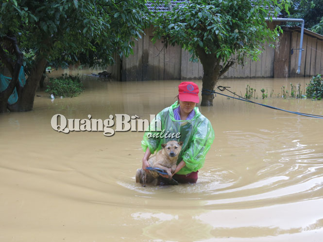 Phú Nhiêu gồng mình chống lũ