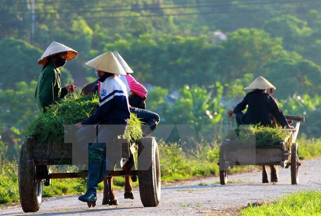 Quốc hội thảo luận giám sát chương trình xây dựng nông thôn mới