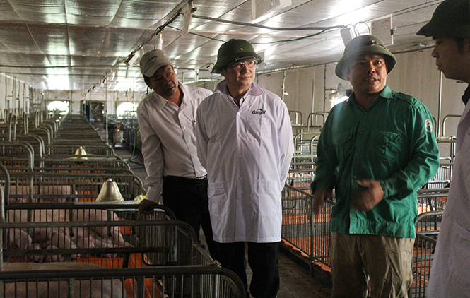 Giải pháp để trang trại phát triển bền vững - Bài 2: Tháo gỡ các vướng mắc về chính sách