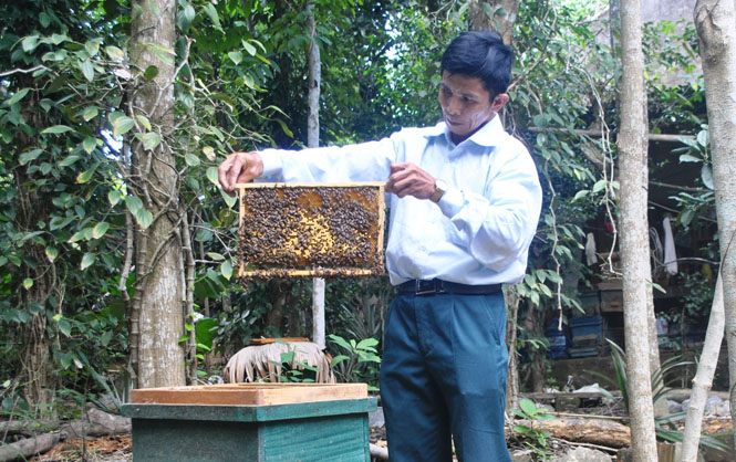 Trường Xuân (Quảng Ninh): Đổi thay từ một dự án