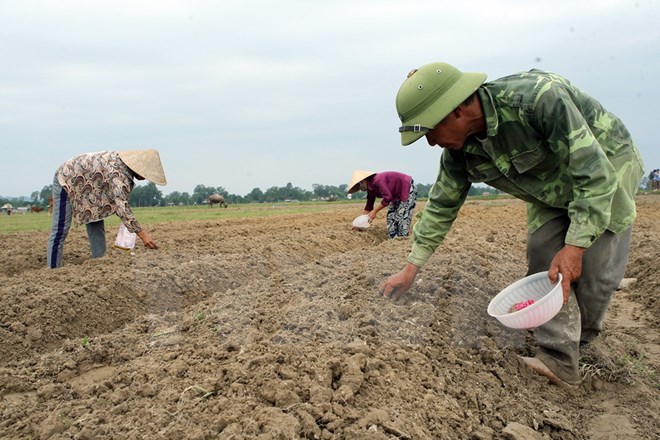 Quốc hội ủng hộ mở rộng diện miễn thuế sử dụng đất nông nghiệp