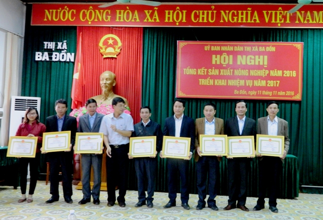 Sản xuất nông nghiệp ở thị xã Ba Đồn có ổn định?