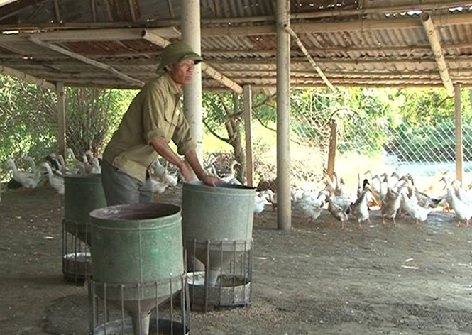 Cho đất cằn hồi sinh
