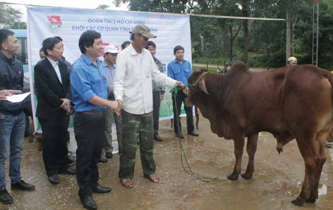 Đoàn Khối các cơ quan tỉnh tặng bò giống cho xã Lâm Hóa