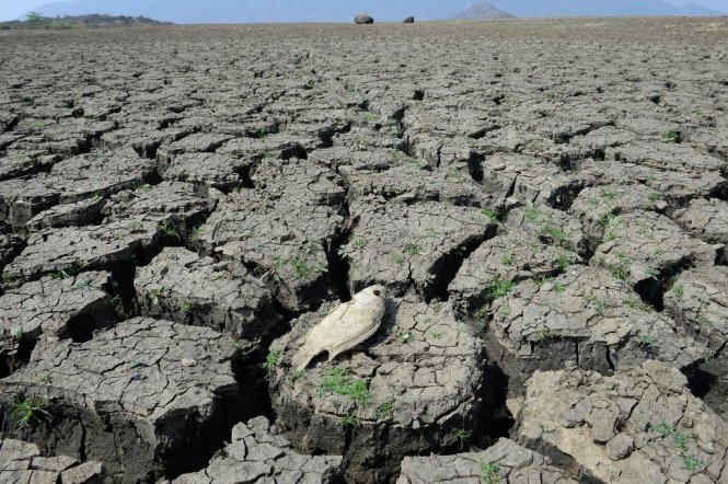 Tóm lại, El Nino là gì?