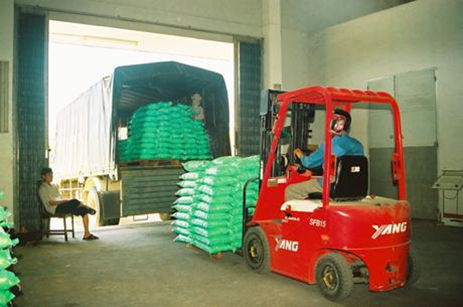 1.900 tấn giống lúa sẵn sàng phục vụ sản xuất đông xuân