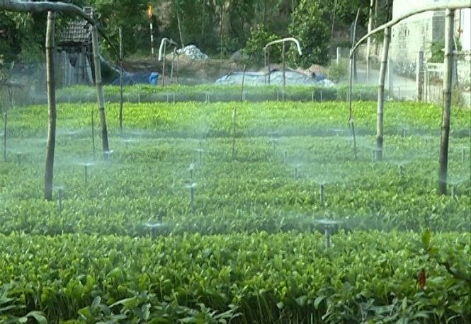 Một cán bộ Hội Nông dân tận tụy với công việc