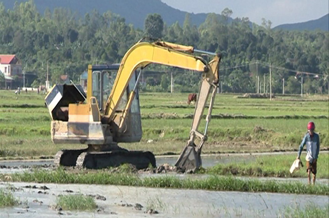 Quảng Lưu: Hoàn thành dồn điền đổi thửa