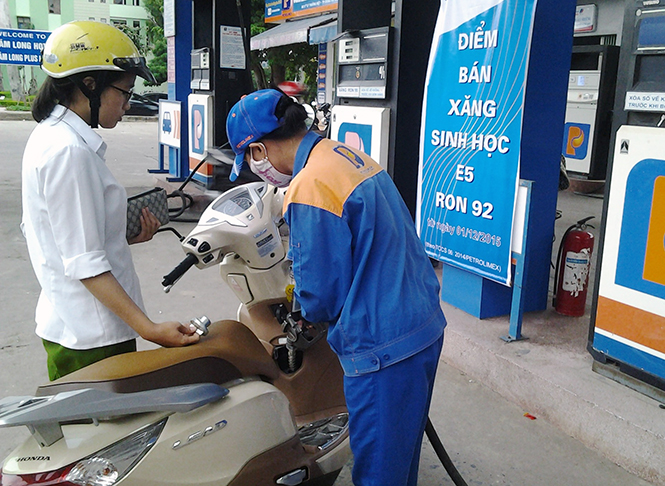 Xử phạt 5 đơn vị, cá nhân vi phạm về hoạt động kinh doanh xăng dầu