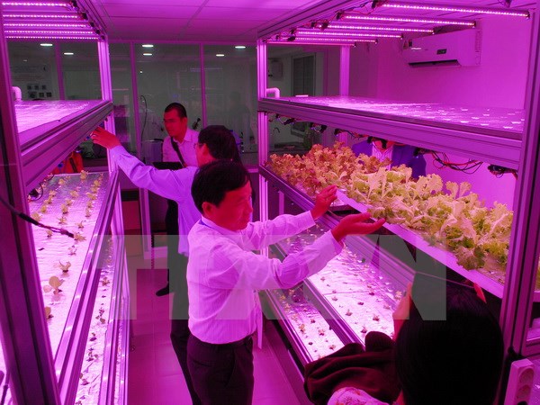 Khai mạc hội thảo khoa học quốc tế Việt Nam học lần thứ 5