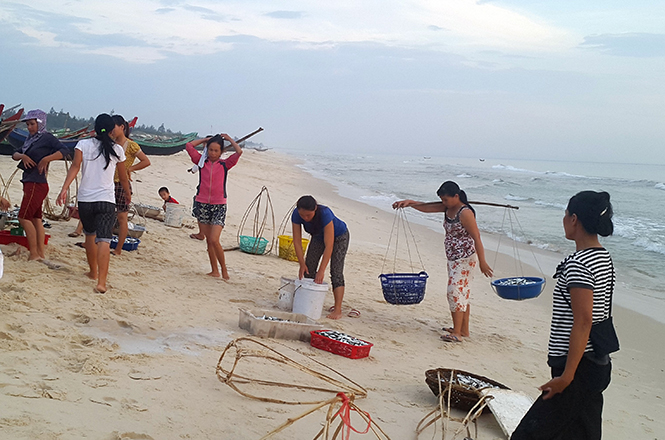 Tổng số tiền và quà hỗ trợ người dân xã Hải Ninh trên 2,4 tỷ đồng
