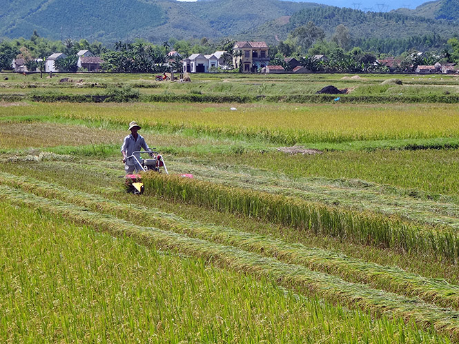 Hưởng ứng CVĐ "Toàn dân đoàn kết XDNTM, đô thị văn minh": Những nỗ lực đáng ghi nhận