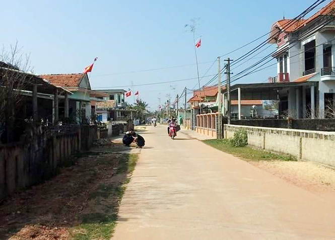 Đức Trạch: Hành trình cán đích nông thôn mới