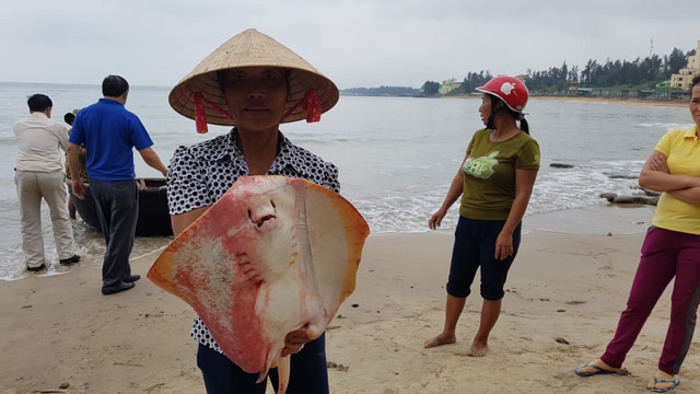 Ô nhiễm biển miền Trung không lọt vào 10 sự kiện nổi bật của ngành tài nguyên và môi trường