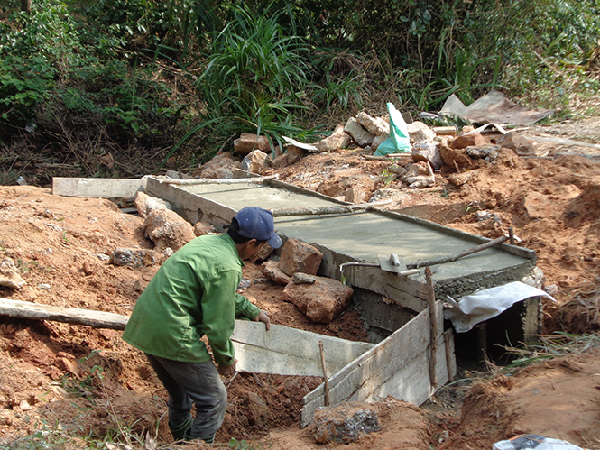 Vạn Ninh, Quảng Ninh: Ổn định tình hình sản xuất sau thiên tai