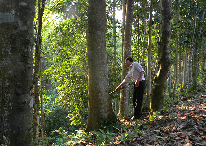 Khởi sắc Tuyên Hóa
