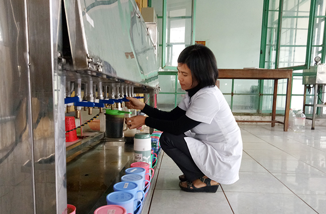 Nâng cao chất lượng thuốc y học cổ truyền