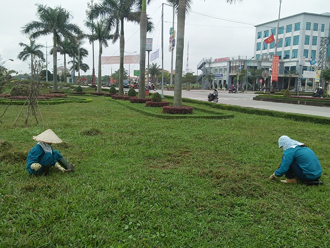 Làm đẹp phố những ngày giáp Tết