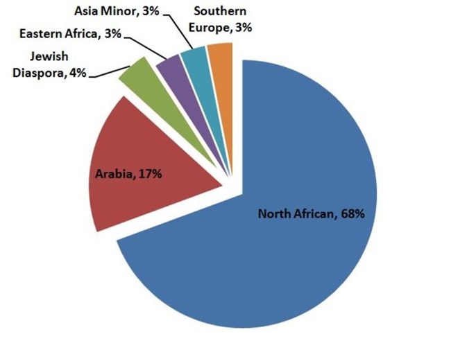 Phân tích ADN sốc: Phần lớn người Ai Cập không phải gốc Arab