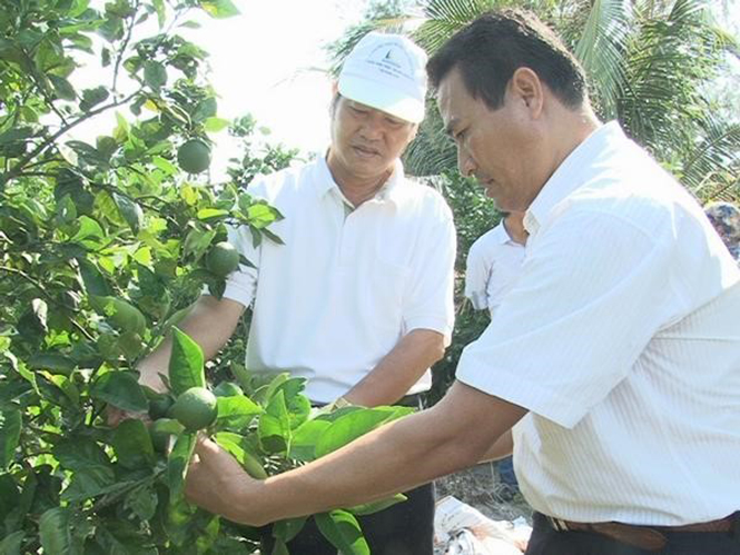 "Nâng cao cả về hàm lượng khoa học và tính thực tiễn"