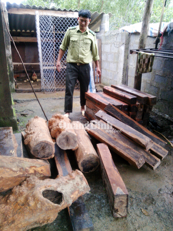 Bắt giữ xe ô tô chở 450kg gỗ hương giáng trái phép