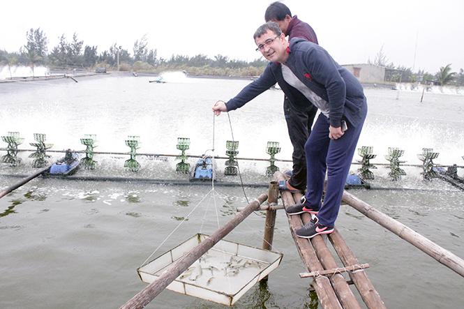 Người nông dân ngoại quốc