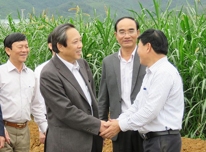 Các đồng chí lãnh đạo tỉnh kiểm tra tình hình sản xuất ở các địa phương, đơn vị đầu xuân mới