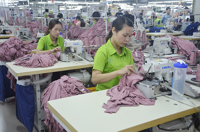 Sôi động những ngày đầu xuân
