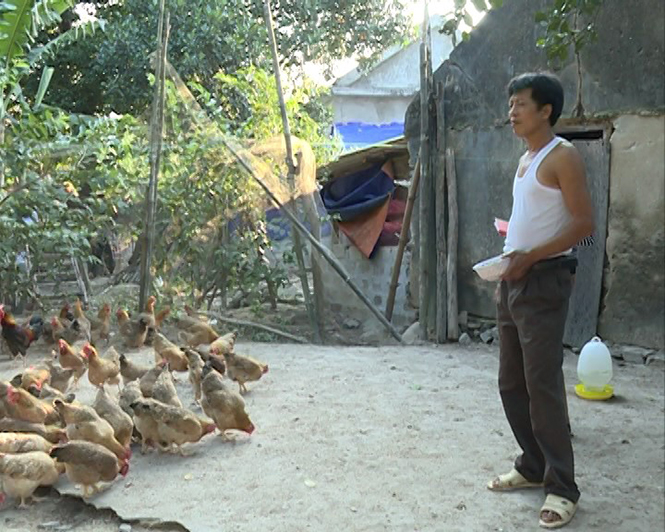 Người không đầu hàng nghịch cảnh