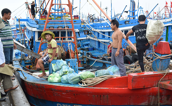Ngư dân "mở biển" đầu năm