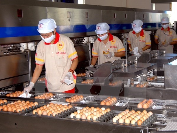 Quy định về hạn ngạch nhập khẩu mặt hàng thuốc lá, trứng gia cầm