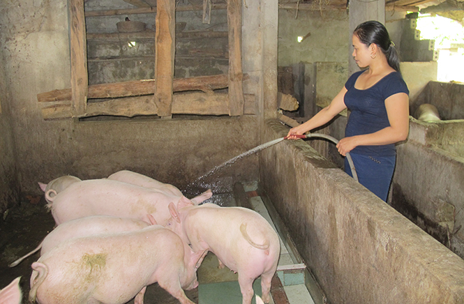Phụ nữ Quảng Trạch thi đua phát triển kinh tế