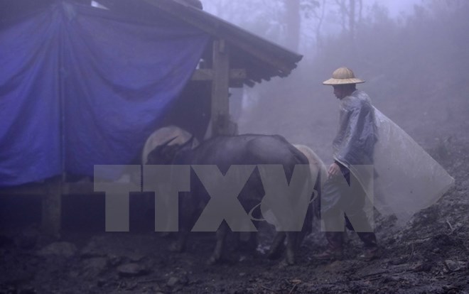 Miền Bắc chịu ảnh hưởng từ 3-4 đợt không khí lạnh trong tháng ba