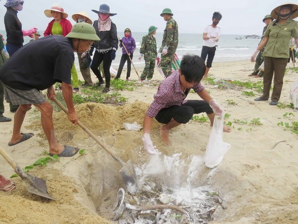 Xử lý vụ Formosa: "Không có ngoại lệ, không có vùng cấm"