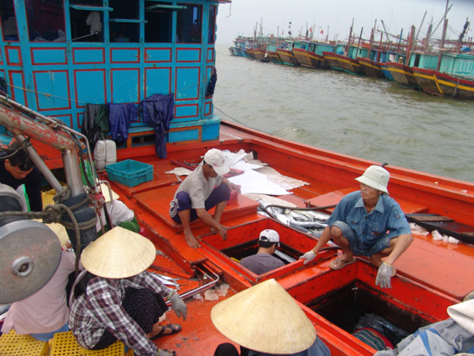 Sản lượng hải sản khai thác ổn định trở lại
