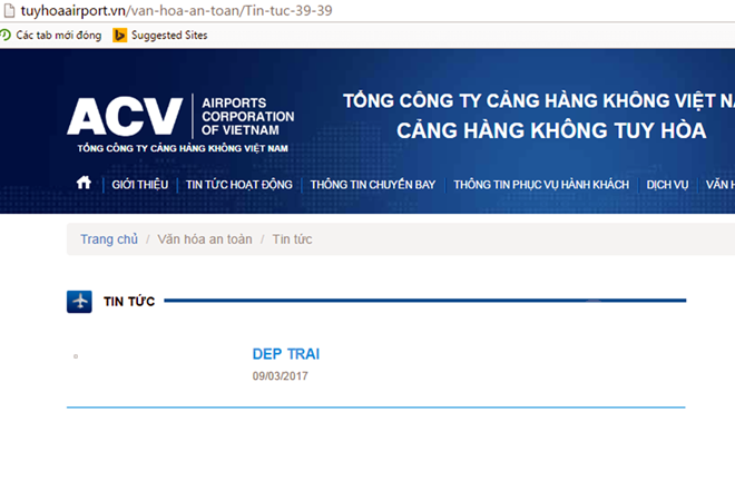 Website cảng hàng không bị sập: Không phải là tấn công có chủ đích