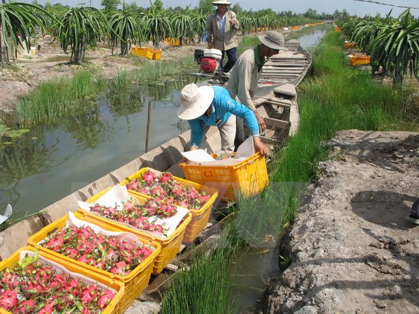 Ấn Độ tạm dừng nhập khẩu một số mặt hàng của Việt Nam