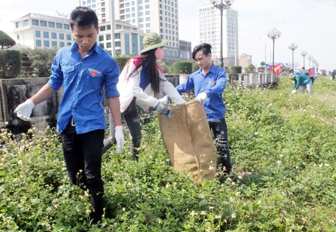 Tuổi trẻ Đoàn Khối các cơ quan tỉnh ra quân làm sạch môi trường