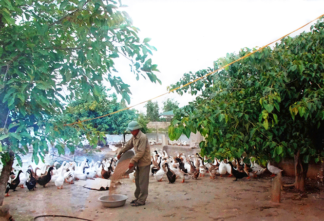 Gương sáng cựu chiến binh