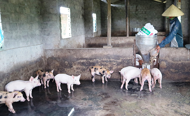 Người nông dân vượt khó khởi nghiệp