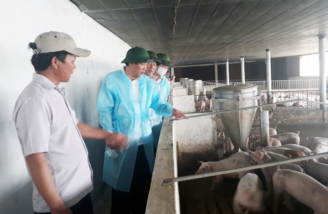 Đồng chí Bí thư Tỉnh ủy thăm các mô hình kinh tế trang trại tại huyện Bố Trạch