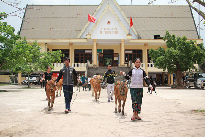 Mặt trận huyện Bố Trạch: Hỗ trợ sinh kế cho đồng bào xã Thượng Trạch